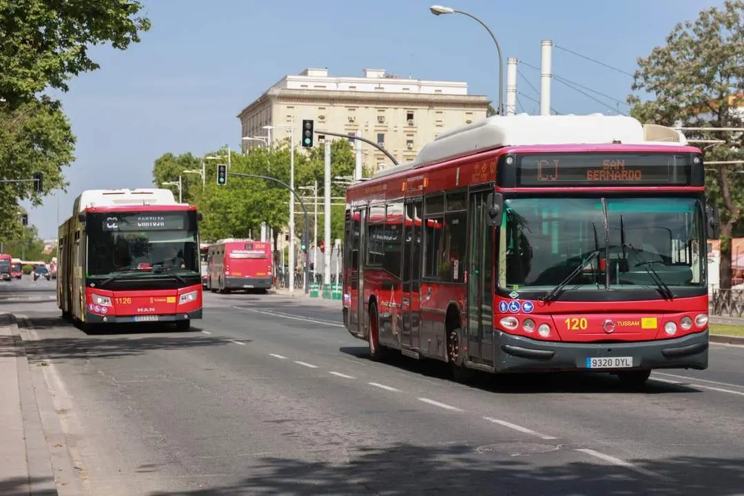  Autobuses de Tussam | Roc&iacute;o Ruz / Europa Press 