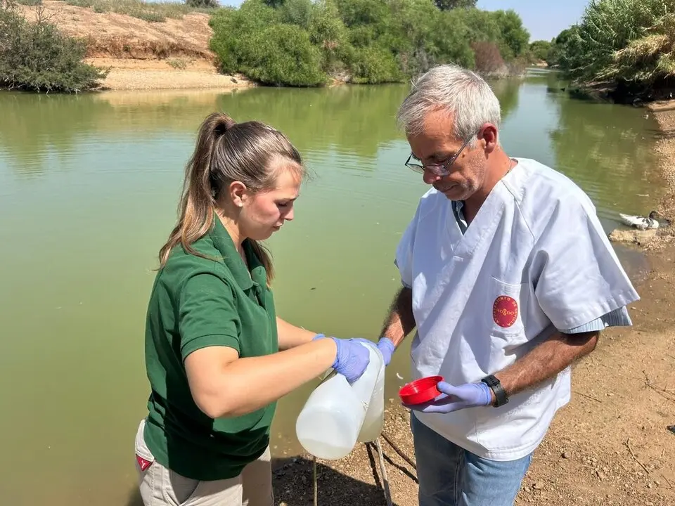  Expertos act&uacute;an en la investigaci&oacute;n del Parque del Tamarguillo (Sevilla). Imagen de archivo | AYUNTAMIENTO DE SEVILLA 