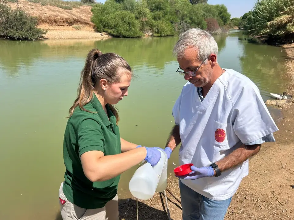 Expertos act&uacute;an en la investigaci&oacute;n del Parque del Tamarguillo (Sevilla). Imagen de archivo | AYUNTAMIENTO DE SEVILLA