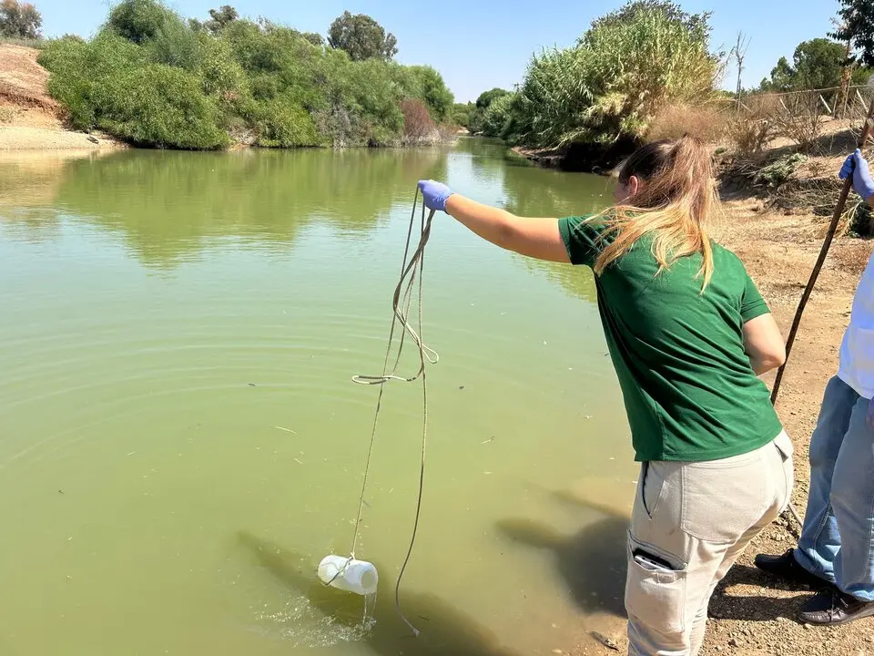 Protocolo de seguimiento en el Parque del Tamarguillo tras la aparici&oacute;n de aves muertas. - AYTO 