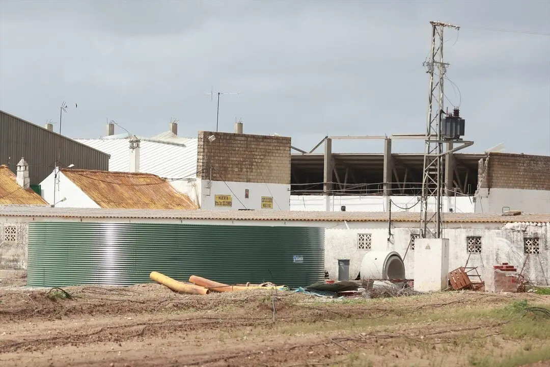  Restos de la nave esparcidos por los alrededores en el derrumbe de una nave agr&iacute;cola | ROC&Iacute;O RUZ - E.P. 