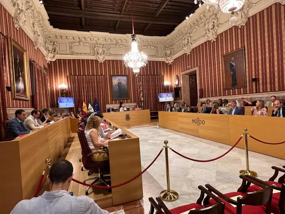  Un momento del Pleno municipal. | C. T. 