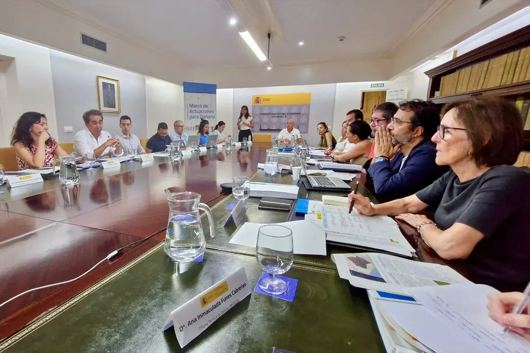  Reuni&oacute;n entre el GTT, MAD y MITECO en Sevilla | MITECO 