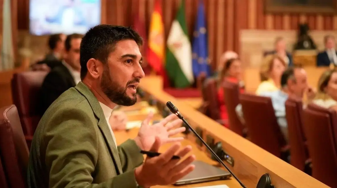  El portavoz del grupo municipal con Podemos-Izquierda Unida en el Ayuntamiento de Sevilla, Ismael S&aacute;nchez. | EP 