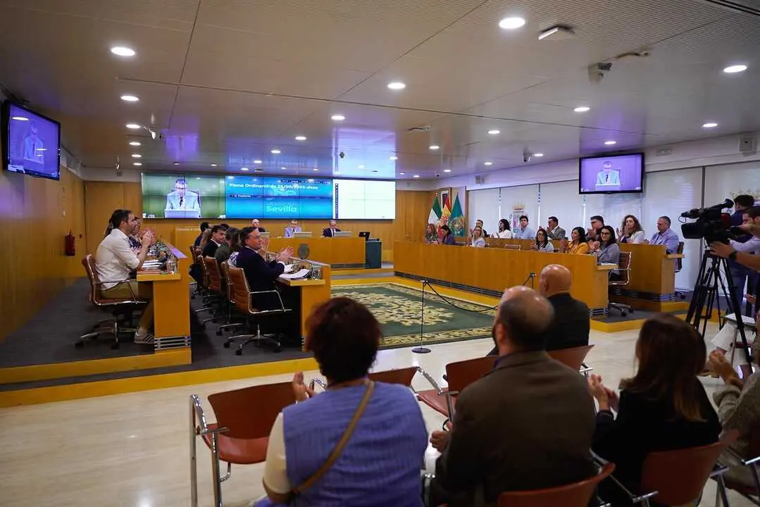  Pleno de la Diputaci&oacute;n de Sevilla | CEDIDA 