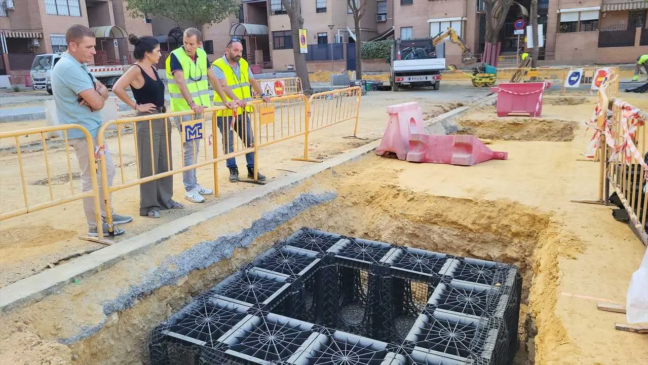  Instalaci&oacute;n de celdas estructurales para favorecer el crecimiento del arbolado urbano |&nbsp;AYUNTAMIENTO DE SEVILLA 