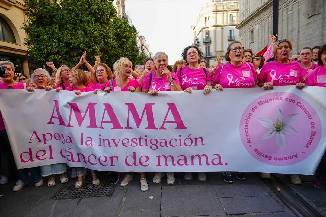  Centenares de personas han respaldado la convocatoria de Amama ante las oficinas del SAS y han exigido dimisiones, materializada una hora y media despu&eacute;s en la persona de la consejera de Salud, Roc&iacute;o Hern&aacute;ndez 