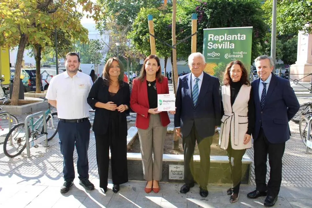  Autoridades en el reconocimiento a tres empresas por donar &aacute;rboles en el plan Replanta Sevilla. | AYUNTAMIENTO 