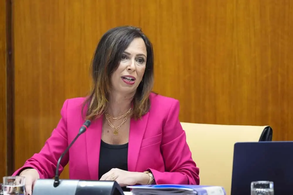  Consejera Roc&iacute;o D&iacute;az comisi&oacute;n 