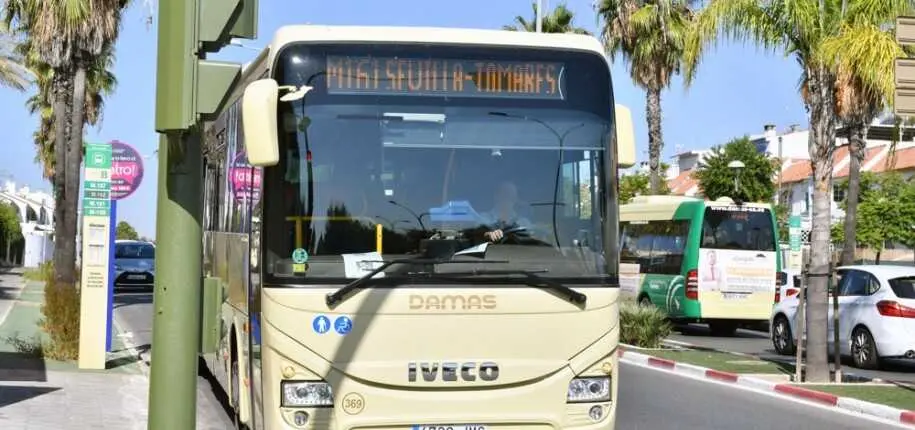  Autob&uacute;s del Consorcio.| ARCHIVO 