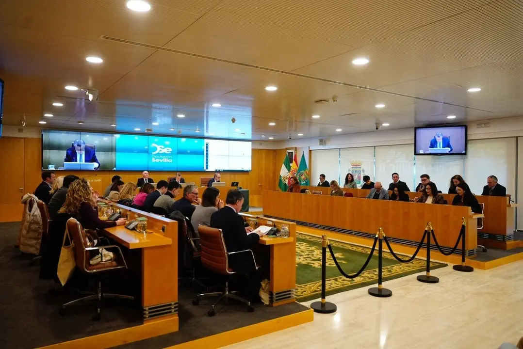  &Uacute;ltimo pleno de la Diputaci&oacute;n de Sevilla de 2025 |&nbsp;DIPUTACI&Oacute;N DE SEVILLA 