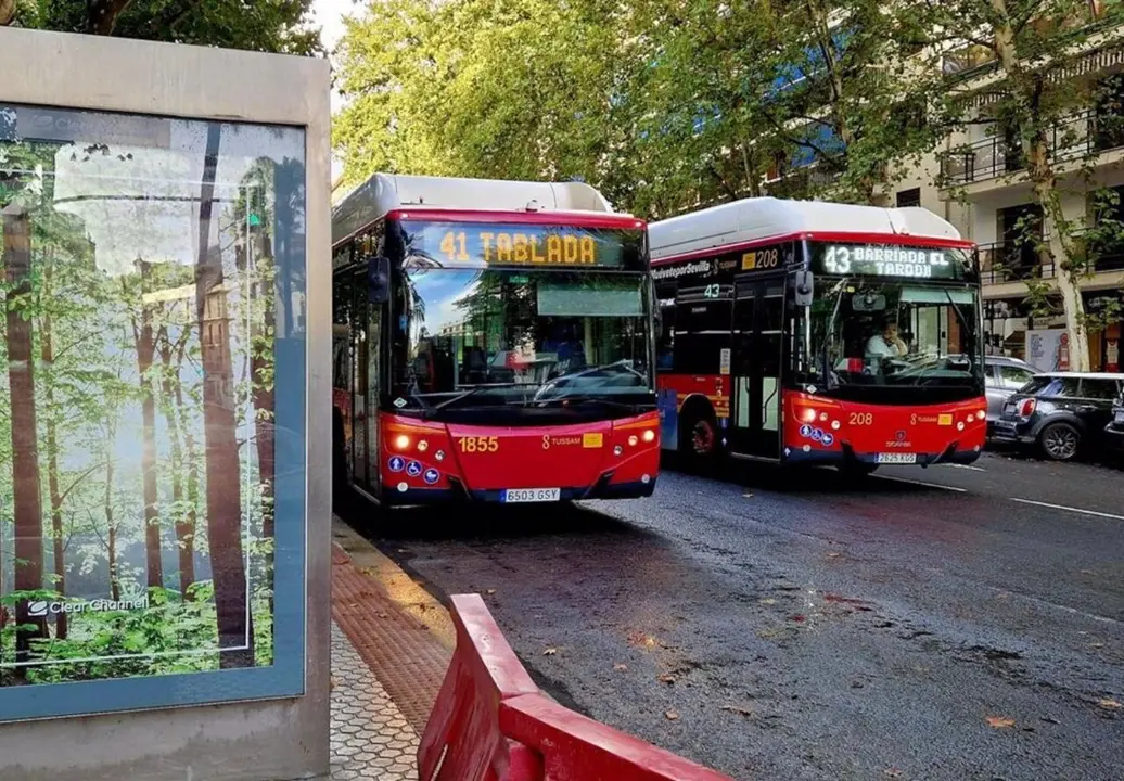  Autobuses de Tussam. | Archivo 