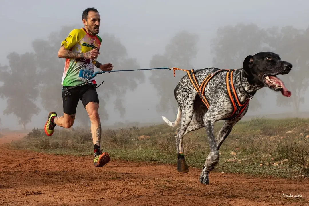  Participante en la Copa de Espa&ntilde;a de Mushing. | AYTO ALCAL&Aacute; DE GUADA&Iacute;RA. 