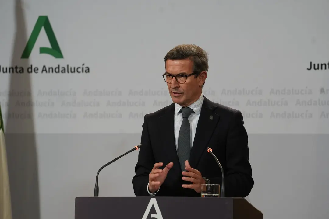  El consejero de Industria, Energ&iacute;a y Minas, Jorge Paradela Guti&eacute;rrez. | EP 