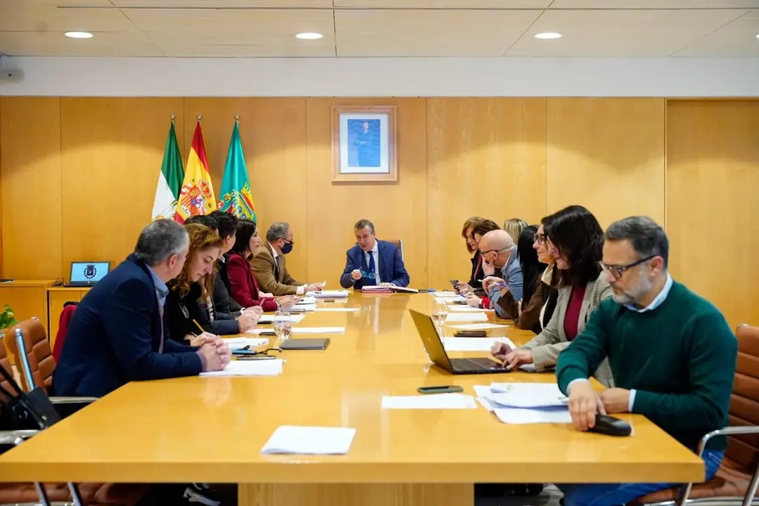  Junta de gobierno de la Diputaci&oacute;n, presidida por Javier Fern&aacute;ndez. | DIPU. 
