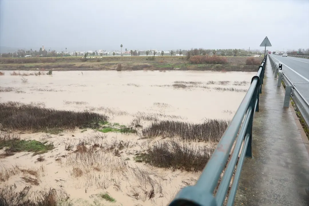  e de Foto:<br>Imagen del r&iacute;o Guadalquivir a su paso por la localidad sevillana de Lora del R&iacute;o mostrando una importante subida de caudal tras las &uacute;ltimas lluvias dejadas por la borrasca Joseph | E.P. 