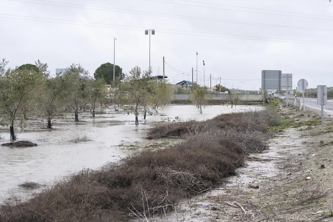  Im&aacute;genes de los restos del desbordamiento del Arroyo Saladillo a su paso por la A-394 en Arahal. | EP. 