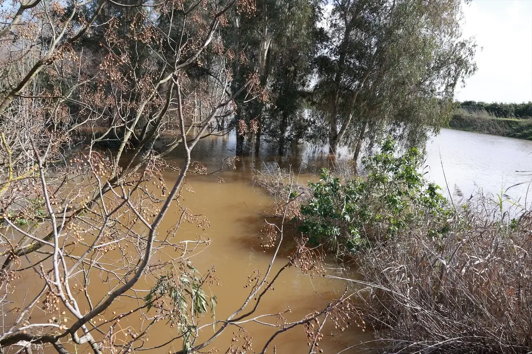  El r&iacute;o Guadalquivir presenta un importante aumento de su caudal amenazando con desbordarse a su paso por la sevillana localidad de Cantillana |&nbsp;E.P. 
