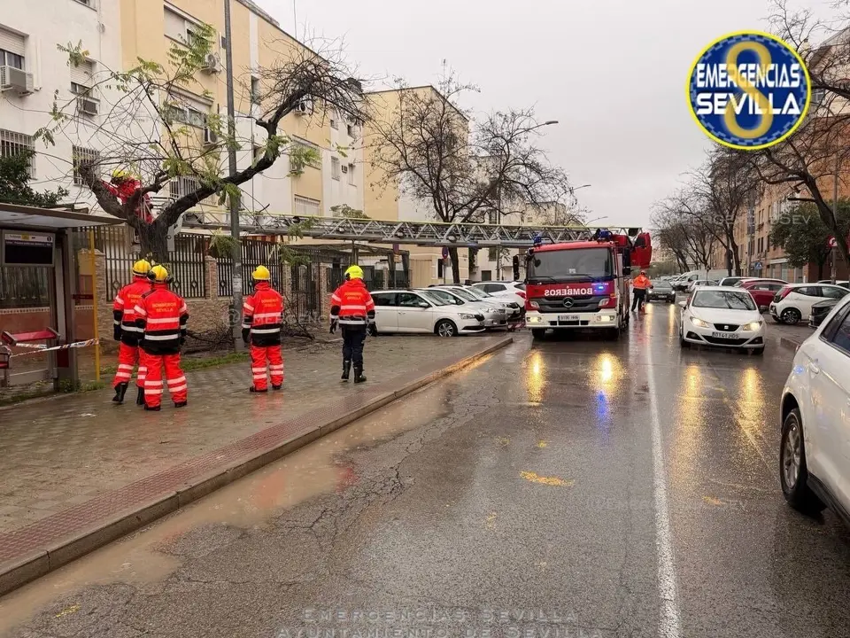  Bomberos act&uacute;an tras el aviso por una incidencia relacionada con el temporal | AYTO SEVILLA 