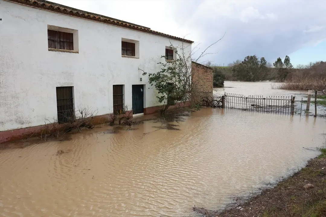  Crecida del r&iacute;o Guadalquivir a su paso por el pueblo sevillano de Lora del R&iacute;o | E.P. 