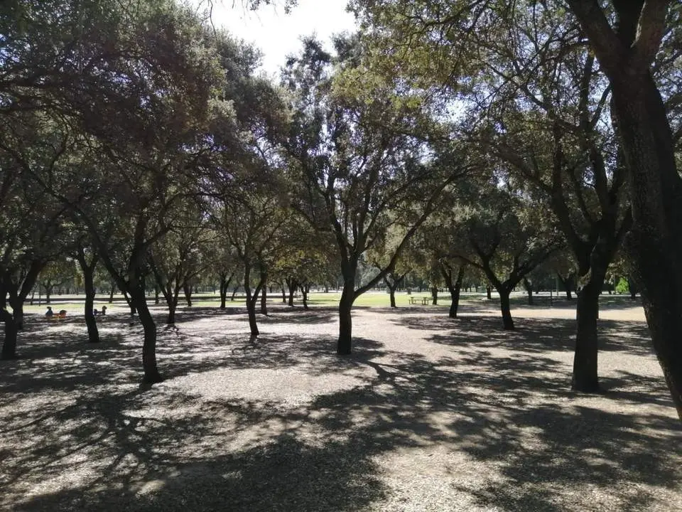  El Parque del Alamillo. | Archivo 