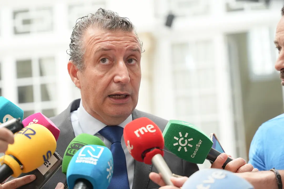  El presidente de la Diputaci&oacute;n de Sevilla, Javier Fern&aacute;ndez. | Archivo 