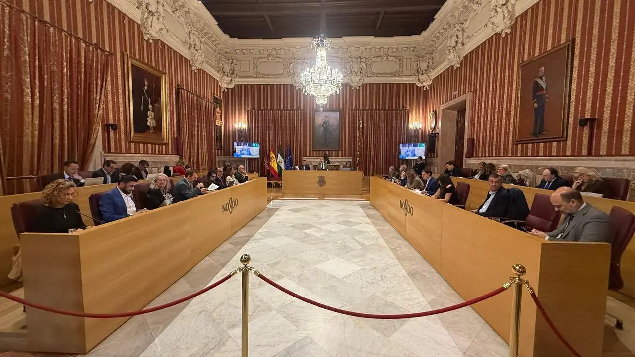  En la sesi&oacute;n plenaria de este jueves. | VIVA Sevilla 
