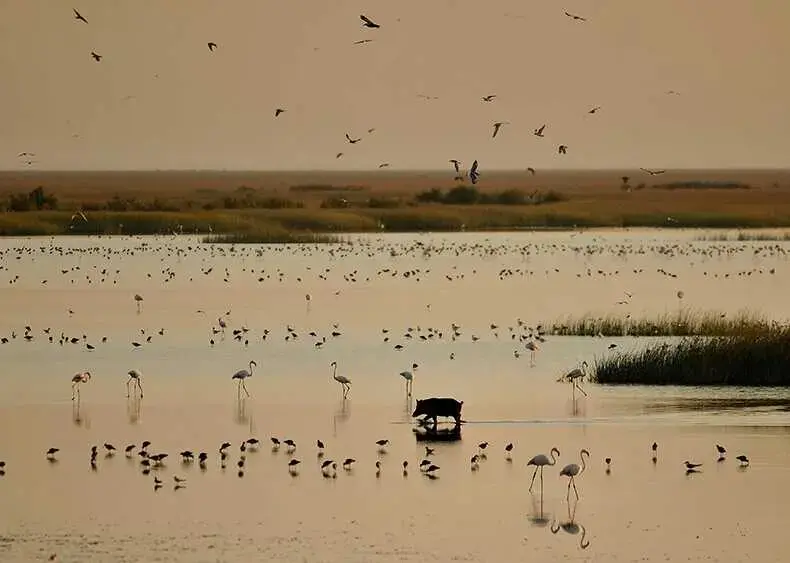 Vista del atardecer en Do&ntilde;ana. | Ayto. de Almonte.