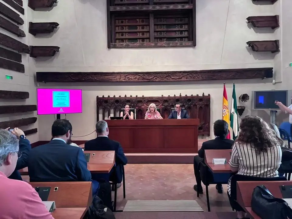 La consejera de Cultura y Deporte en funciones, Patricia del Pozo, interviene en el el acto inaugural que dio inicio a las sesiones de trabajo de evaluaci&oacute;n de It&aacute;lica a Patrimonio Mundial | EP