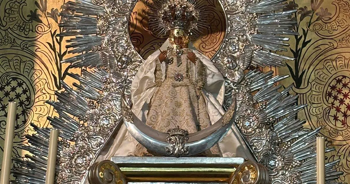  Virgen de Guadalupe de la MIsericodia |&nbsp;HDAD 