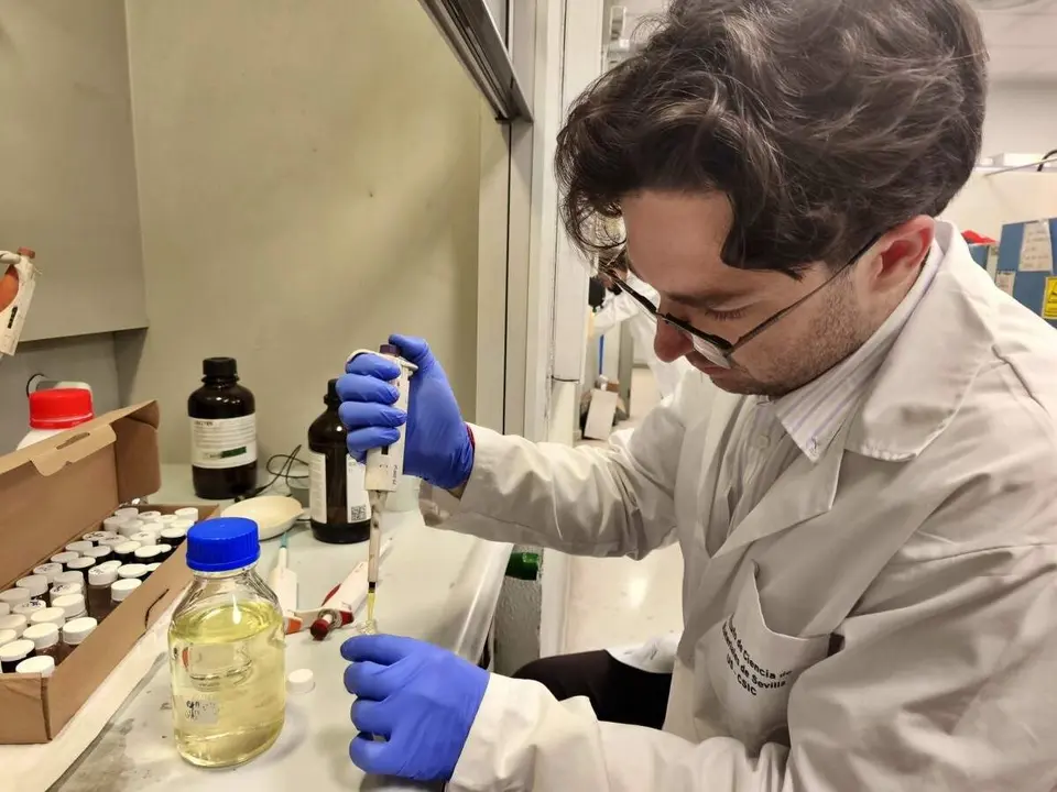  Investigadores del Instituto de Ciencia de Materiales de Sevilla (ICMS) dise&ntilde;an un nuevo catalizador que transforma di&oacute;xido de carbono en mon&oacute;xido de carbono |&nbsp;UNIVERSIDAD DE SEVILLA 