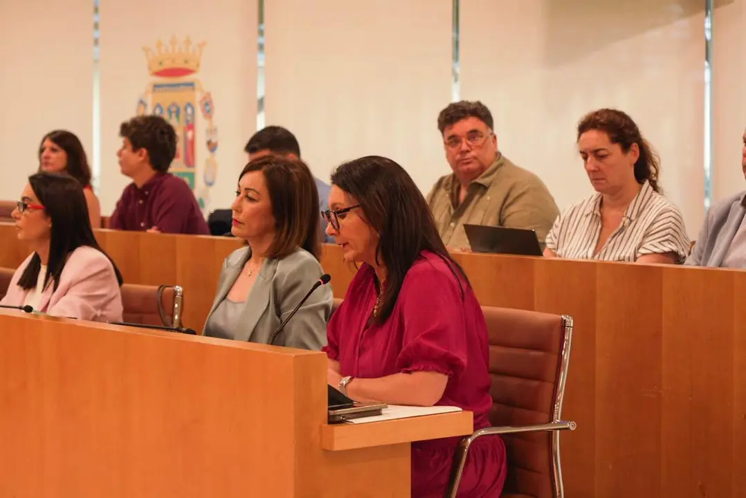  Junta de Gobierno de Diputaci&oacute;n para abordar los planes de cohesi&oacute;n territorial | DIPUTACI&Oacute;N DE SEVILLA 