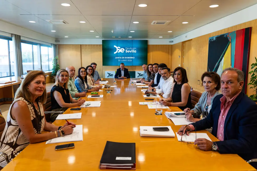  Junta de Gobierno de la Diputaci&oacute;n |&nbsp;DIPUTACI&Oacute;N DE SEVILLA 