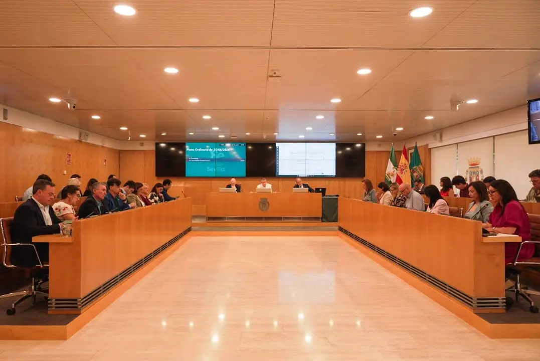  Pleno de la Diputaci&oacute;n de Sevilla como imagen de recurso 