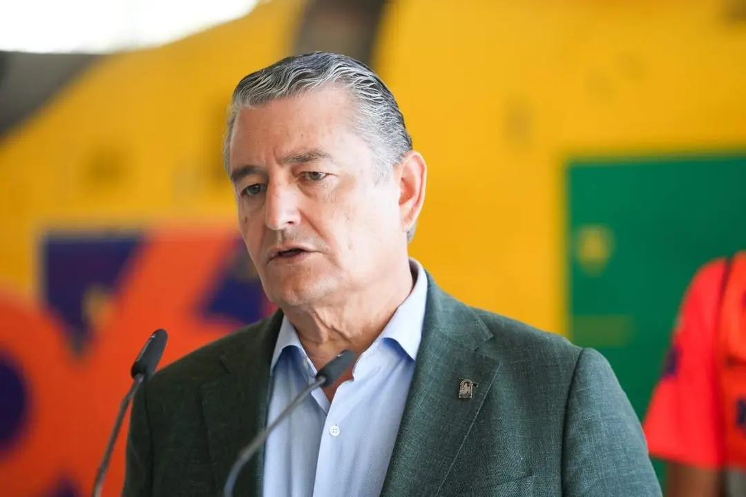  El consejero en funciones de Sanidad, Presidencia y Emergencias de la Junta de Andaluc&iacute;a, Antonio Sanz. | EP 