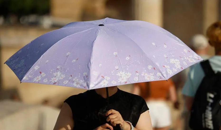  Andaluc&iacute;a contabiliza ya cuatro fallecidos por golpe de calor. | EP 