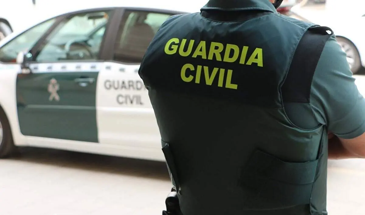  Un agente de la Guardia Civil, de espaldas, junto a un veh&iacute;culo oficial.<br>GUARDIA CIVIL<br>(Foto de ARCHIVO)<br>01/1/1970 