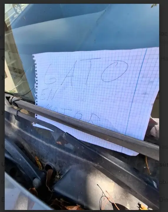  La leyenda de alerta en el coche. | MJF 