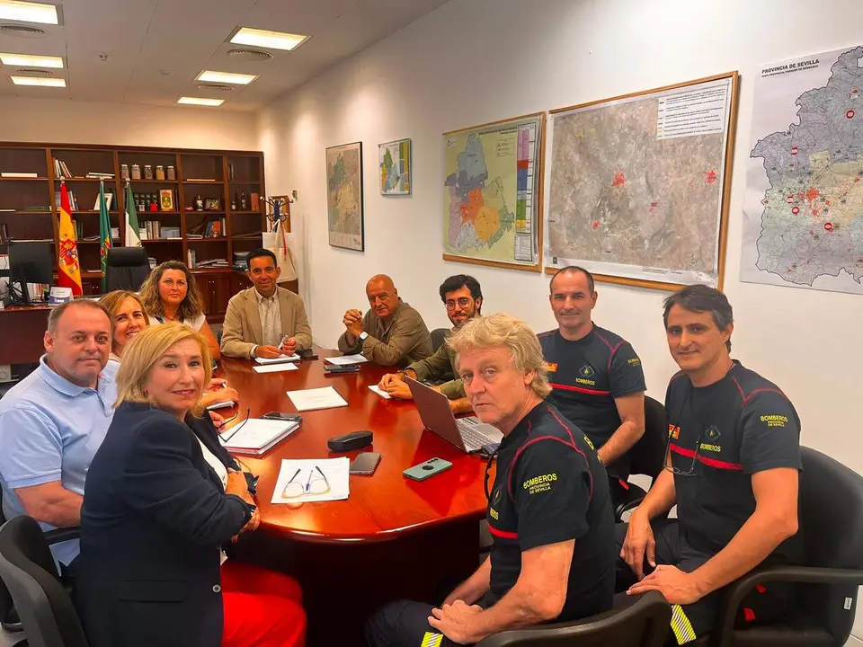  Comisiones mixtas del Consorcio Provincial de Bomberos de Sevilla | DIPUTACI&Oacute;N DE SEVILLA 