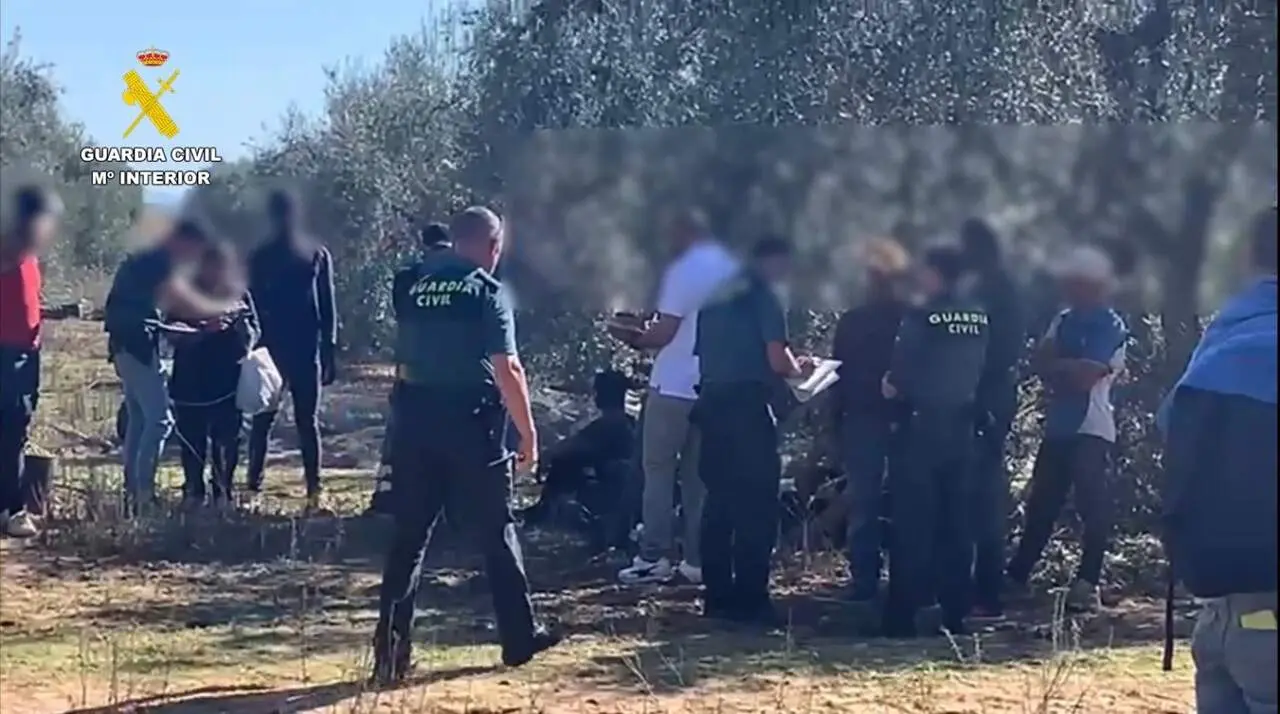  Imagen de la desarticulaci&oacute;n de la trama de explotaci&oacute;n laboral agr&iacute;cola 