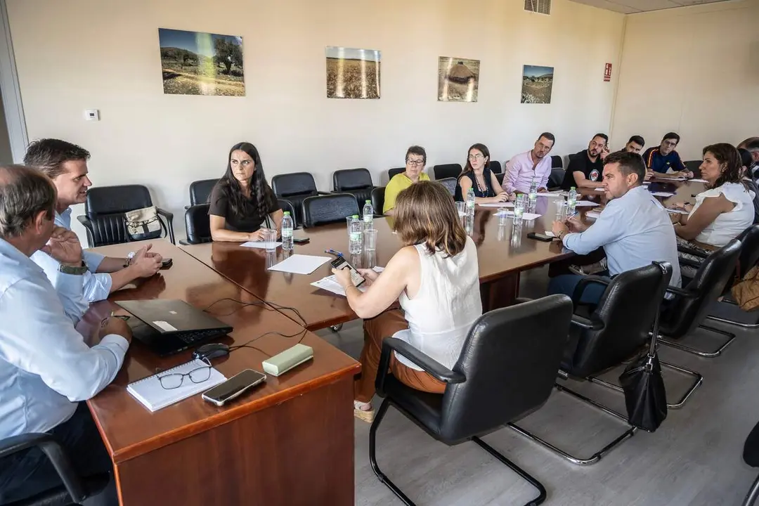  Una de las reuniones de trabajo t&eacute;cnicas con localidades integradas y beneficiadas en los Fondos Feder PAI EDIL 