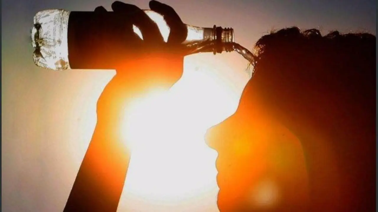 Ola de calor | Archivo