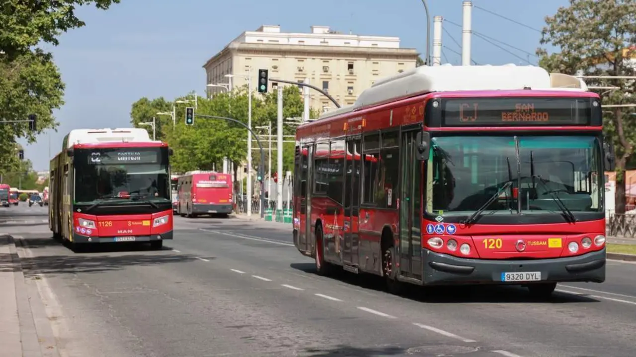  Autobuses de Tussam | Roc&iacute;o Ruz / Europa Press 