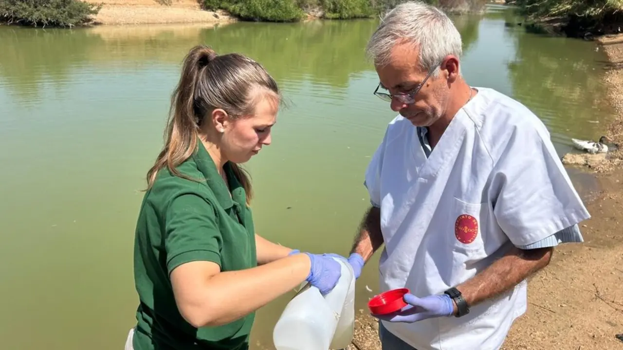  Expertos act&uacute;an en la investigaci&oacute;n del Parque del Tamarguillo (Sevilla). Imagen de archivo | AYUNTAMIENTO DE SEVILLA 