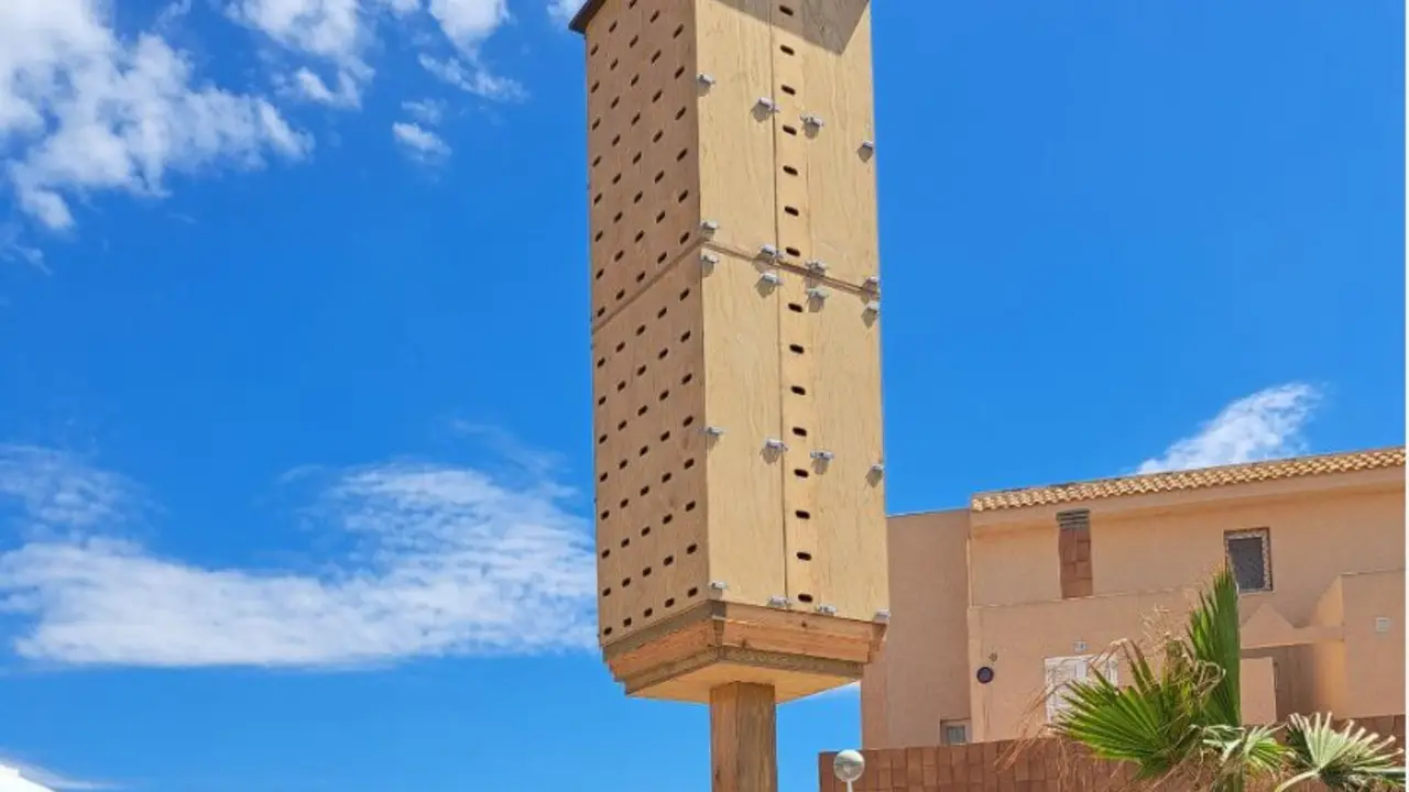  Torre artificial para aves en el Mar Menor. - MJF 