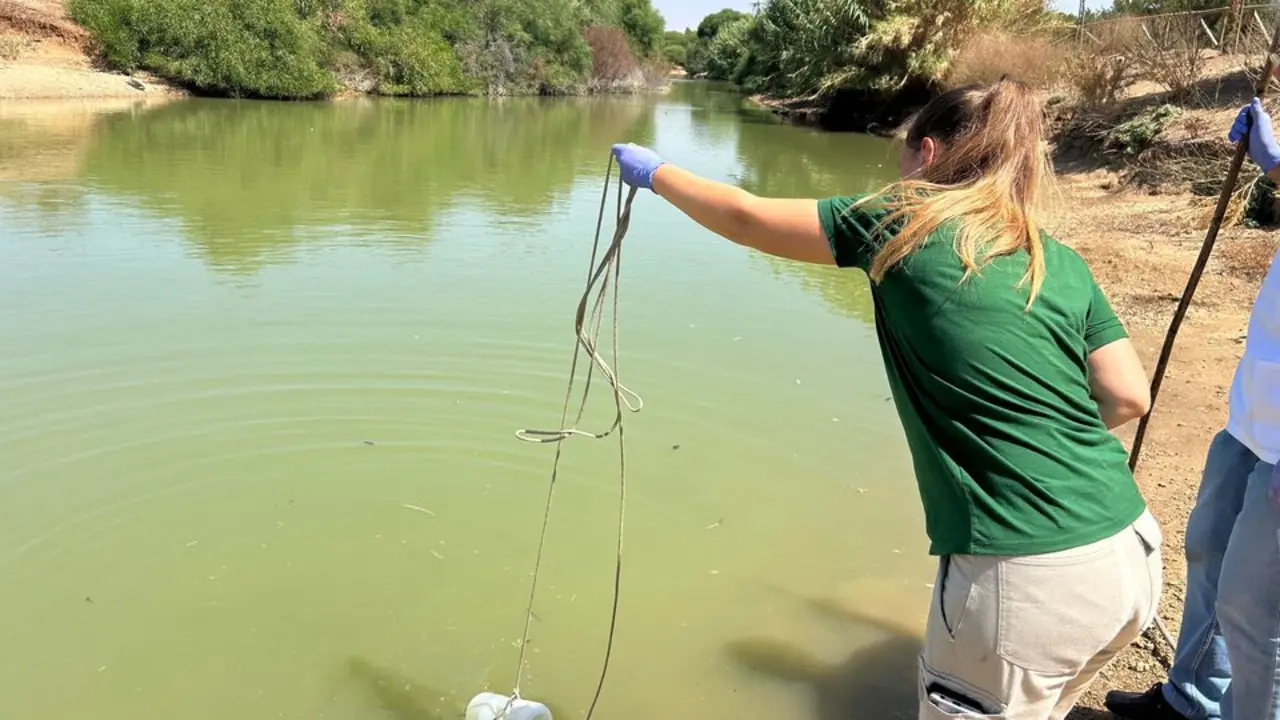  Protocolo de seguimiento en el Parque del Tamarguillo tras la aparici&oacute;n de aves muertas. - AYTO 