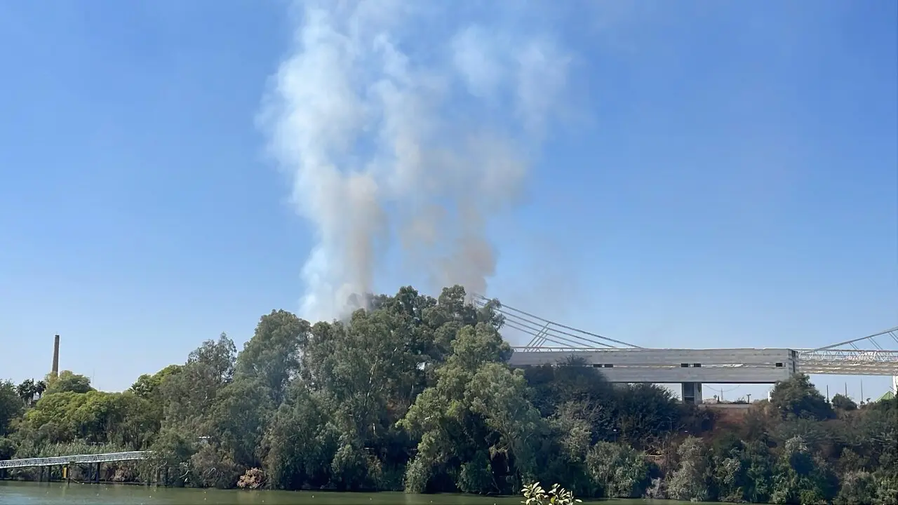  Humareda provocada por el incendio. | VIVA SEVILLA 