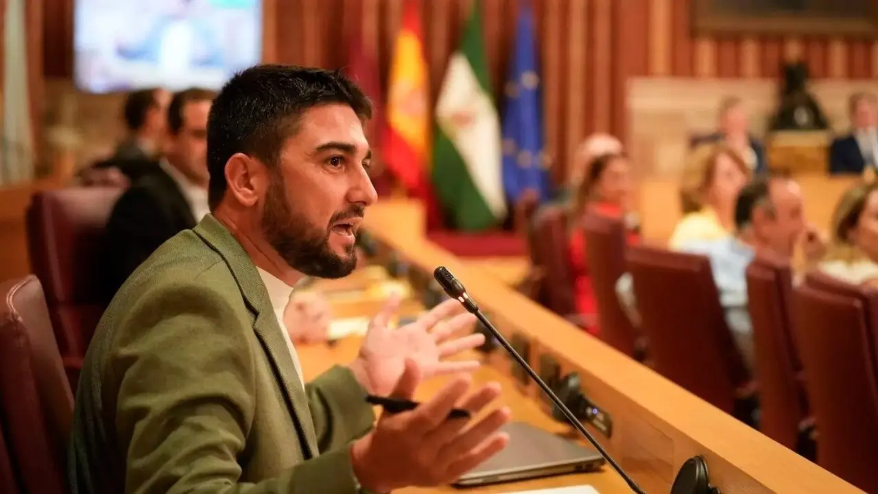  El portavoz del grupo municipal con Podemos-Izquierda Unida en el Ayuntamiento de Sevilla, Ismael S&aacute;nchez. | EP 
