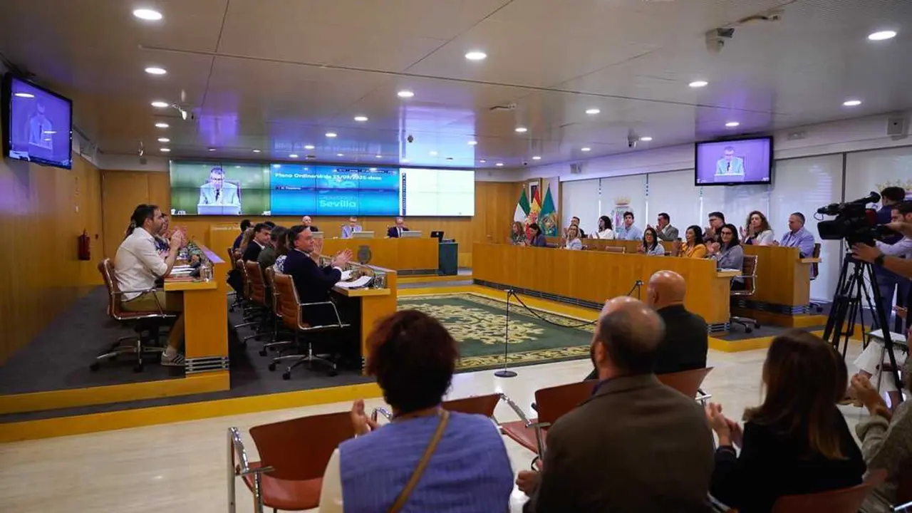  Pleno de la Diputaci&oacute;n de Sevilla | CEDIDA 