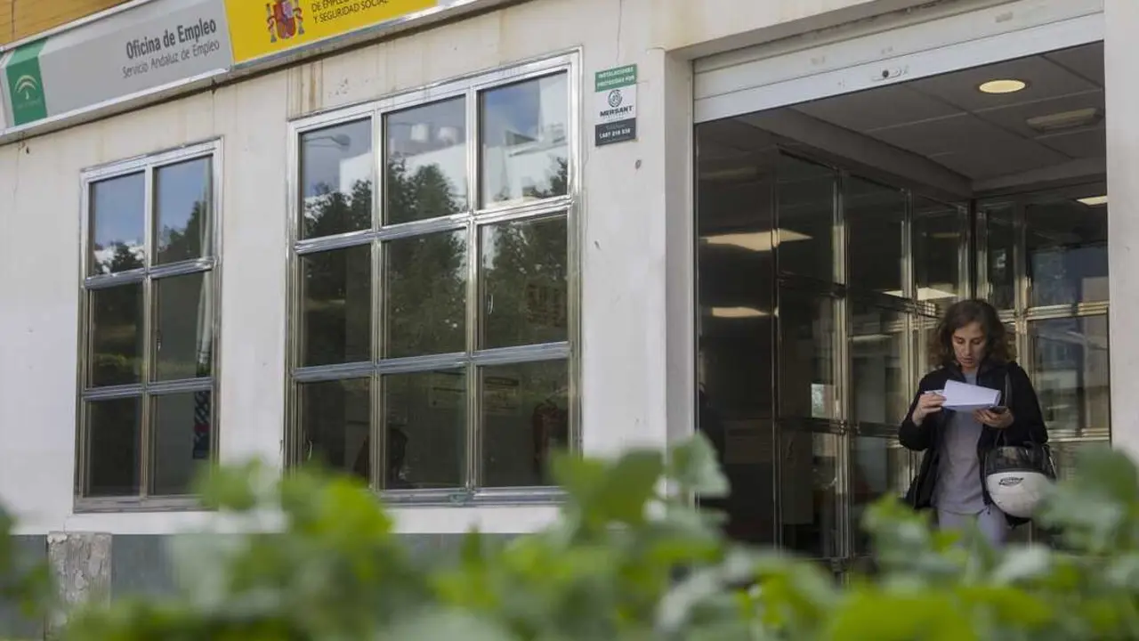  Oficina del SAE. | EP. 